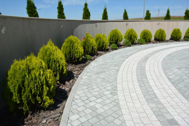 Driveway Repair Near Me in Bloomington, CA